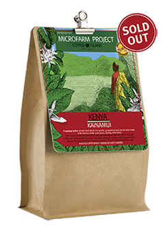 Coffee Shop Coffee Shop